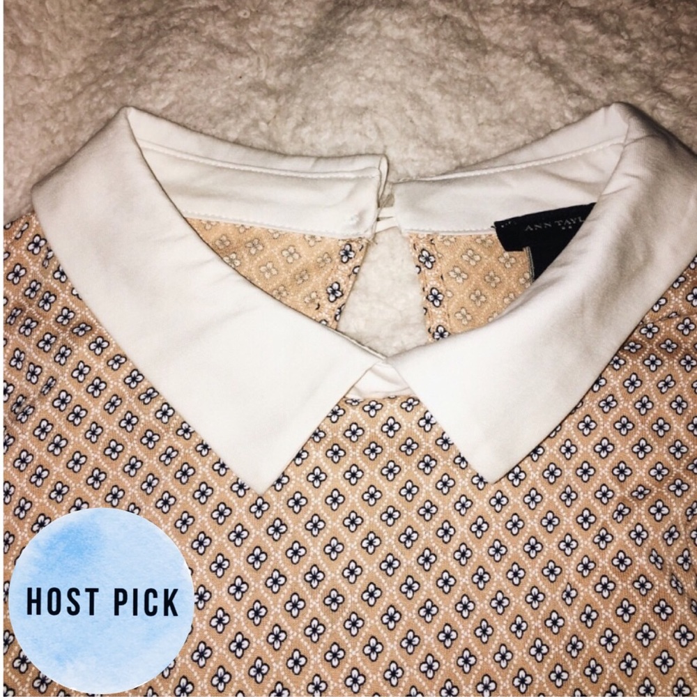 NWOT Ann Taylor Flowered Collared Shirt - S